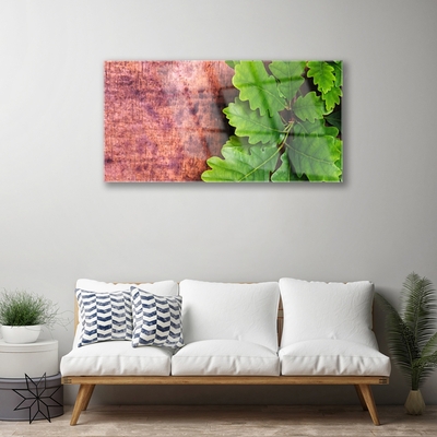 Acrylglasbilder Eiche Blätter Pflanzen