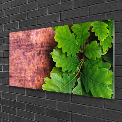 Acrylglasbilder Eiche Blätter Pflanzen