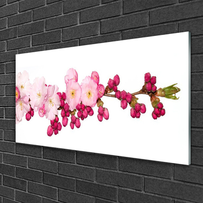 Acrylglasbilder Blüten Zweig Pflanzen