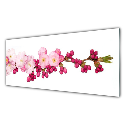 Acrylglasbilder Blüten Zweig Pflanzen