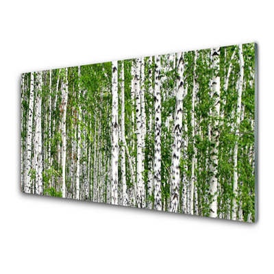 Acrylglasbilder Birken Wald Bäume Natur