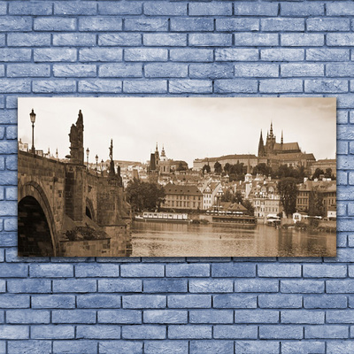 Acrylglasbilder Prag Brücke Landschaft