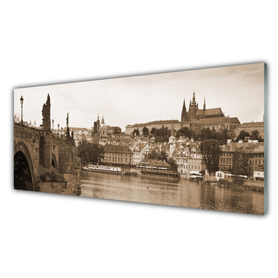 Acrylglasbilder Prag Brücke Landschaft