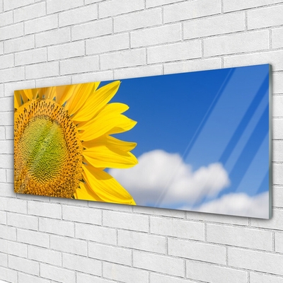 Acrylglasbilder Sonnenblume Wolken Pflanzen
