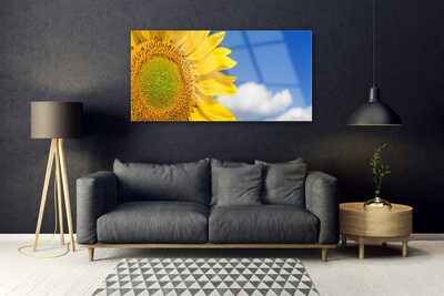 Acrylglasbilder Sonnenblume Wolken Pflanzen