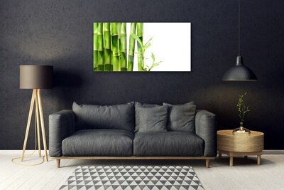 Acrylglasbilder Bambus Pflanzen