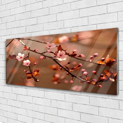 Acrylglasbilder Blütenzweig Natur