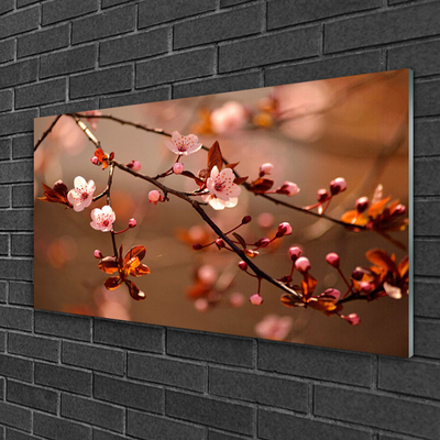 Acrylglasbilder Blütenzweig Natur