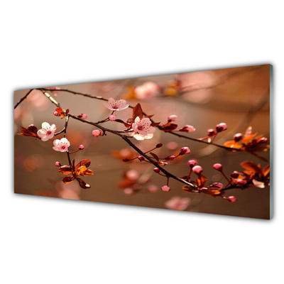 Acrylglasbilder Blütenzweig Natur