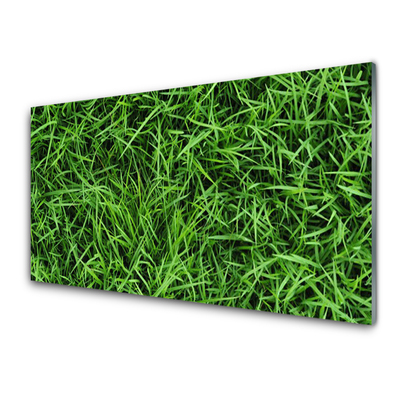 Acrylglasbilder Gras Rasen Pflanzen