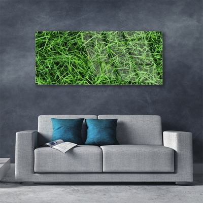 Acrylglasbilder Gras Rasen Pflanzen