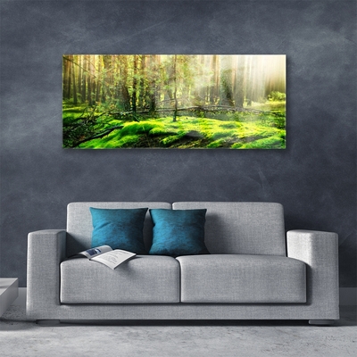 Acrylglasbilder Moos Wald Natur