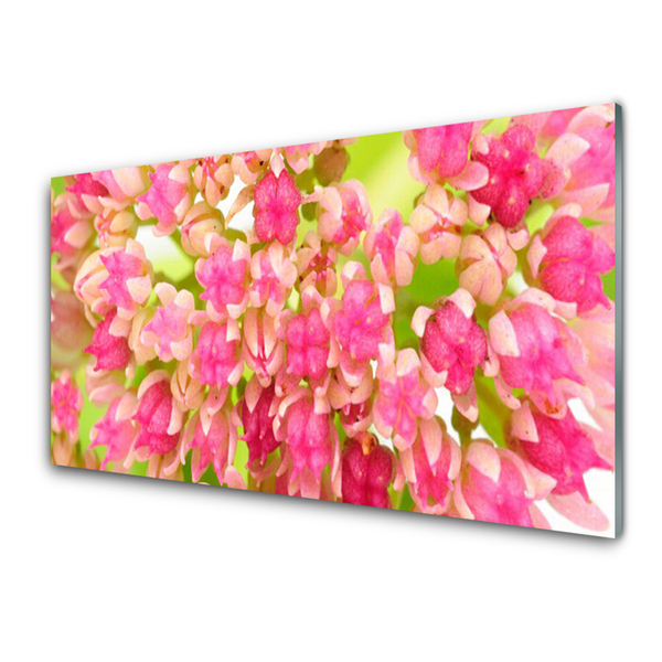 Acrylglasbilder Blüten Blumen Pflanzen