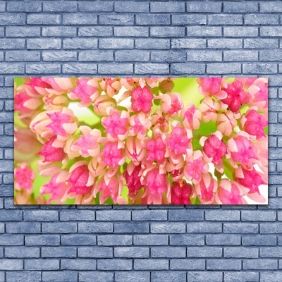 Acrylglasbilder Blüten Blumen Pflanzen
