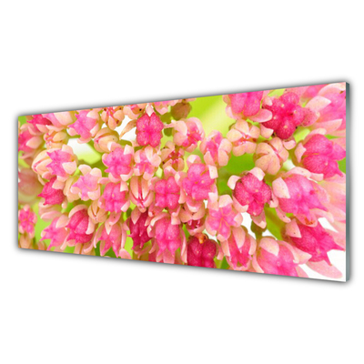 Acrylglasbilder Blüten Blumen Pflanzen