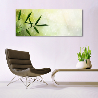 Acrylglasbilder Blätter Regen Pflanzen