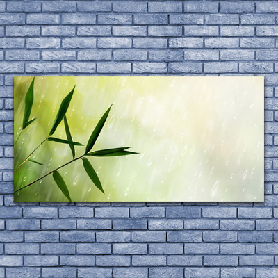 Acrylglasbilder Blätter Regen Pflanzen