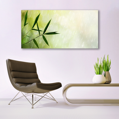 Acrylglasbilder Blätter Regen Pflanzen