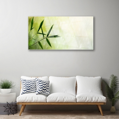 Acrylglasbilder Blätter Regen Pflanzen