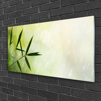 Acrylglasbilder Blätter Regen Pflanzen