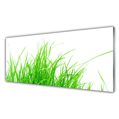 Acrylglasbilder Gras Pflanzen