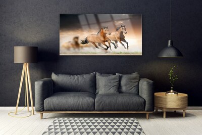 Acrylglasbilder Pferde Tiere