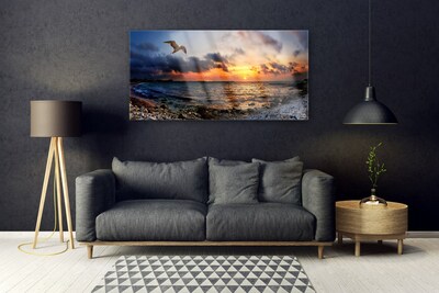 Acrylglasbilder Möwe Meer Strand Landschaft