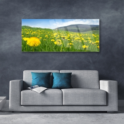 Acrylglasbilder Löwenzahn Feld Natur