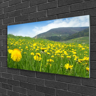 Acrylglasbilder Löwenzahn Feld Natur