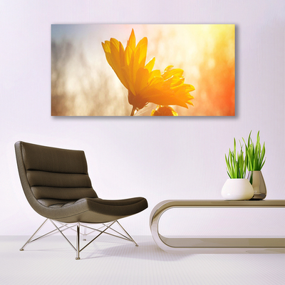 Acrylglasbilder Sonnenblume Pflanzen