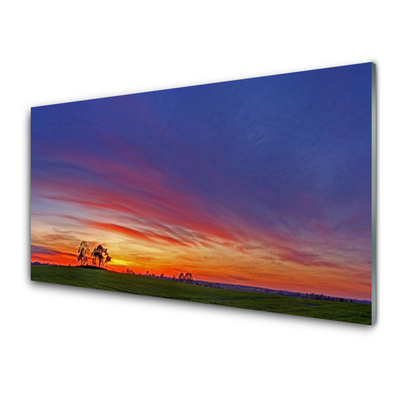 Acrylglasbilder Landschaft Feld Bäume Natur