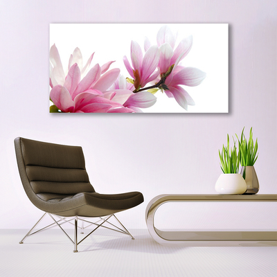 Acrylglasbilder Magnolienblüten Pflanzen