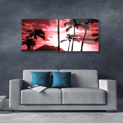 Acrylglasbilder Gebirge Palmen Natur