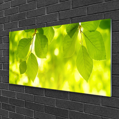 Acrylglasbilder Blätter Pflanzen