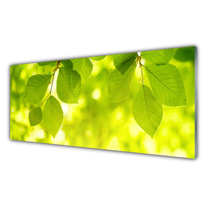 Acrylglasbilder Blätter Pflanzen