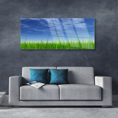 Acrylglasbilder Himmel Gras Natur