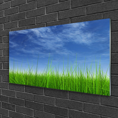 Acrylglasbilder Himmel Gras Natur