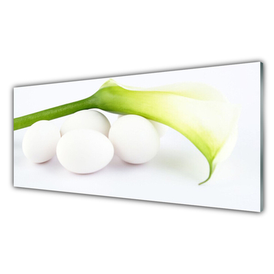 Acrylglasbilder Eier Pflanzen