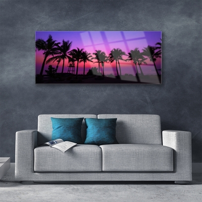 Acrylglasbilder Palmen Landschaft