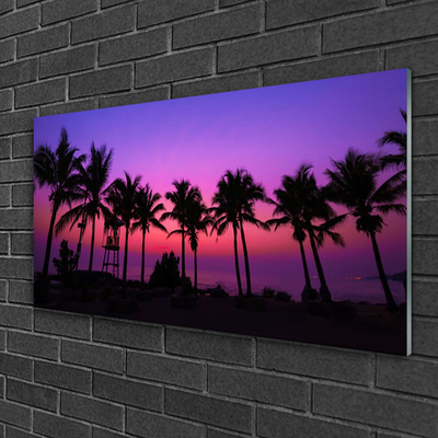 Acrylglasbilder Palmen Landschaft