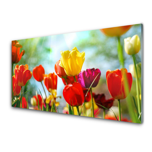 Acrylglasbilder Blumen Pflanzen