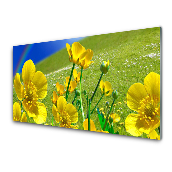 Acrylglasbilder Wiese Blumen Regenbogen Natur