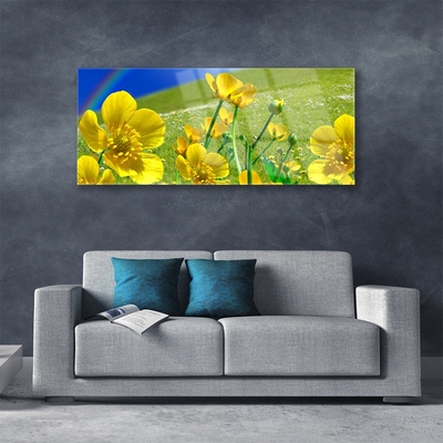 Acrylglasbilder Wiese Blumen Regenbogen Natur