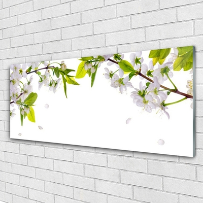Acrylglasbilder Blumen Blätter Natur