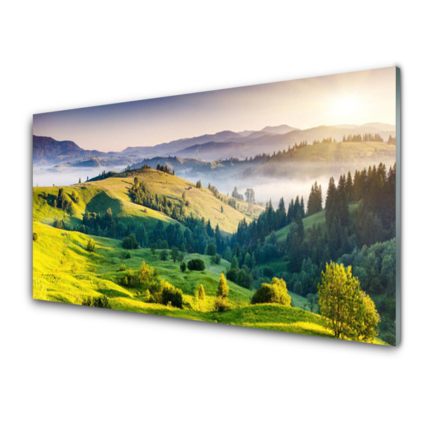Acrylglasbilder Gebirge Feld Wald Nebel Natur