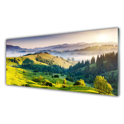 Acrylglasbilder Gebirge Feld Wald Nebel Natur