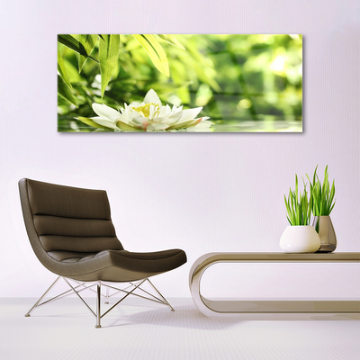 Acrylglasbilder Blume Blätter Pflanzen