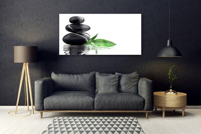 Acrylglasbilder Steine Blätter Wasser Kunst