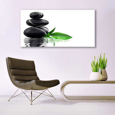Acrylglasbilder Steine Blätter Wasser Kunst