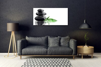 Acrylglasbilder Steine Blätter Wasser Kunst